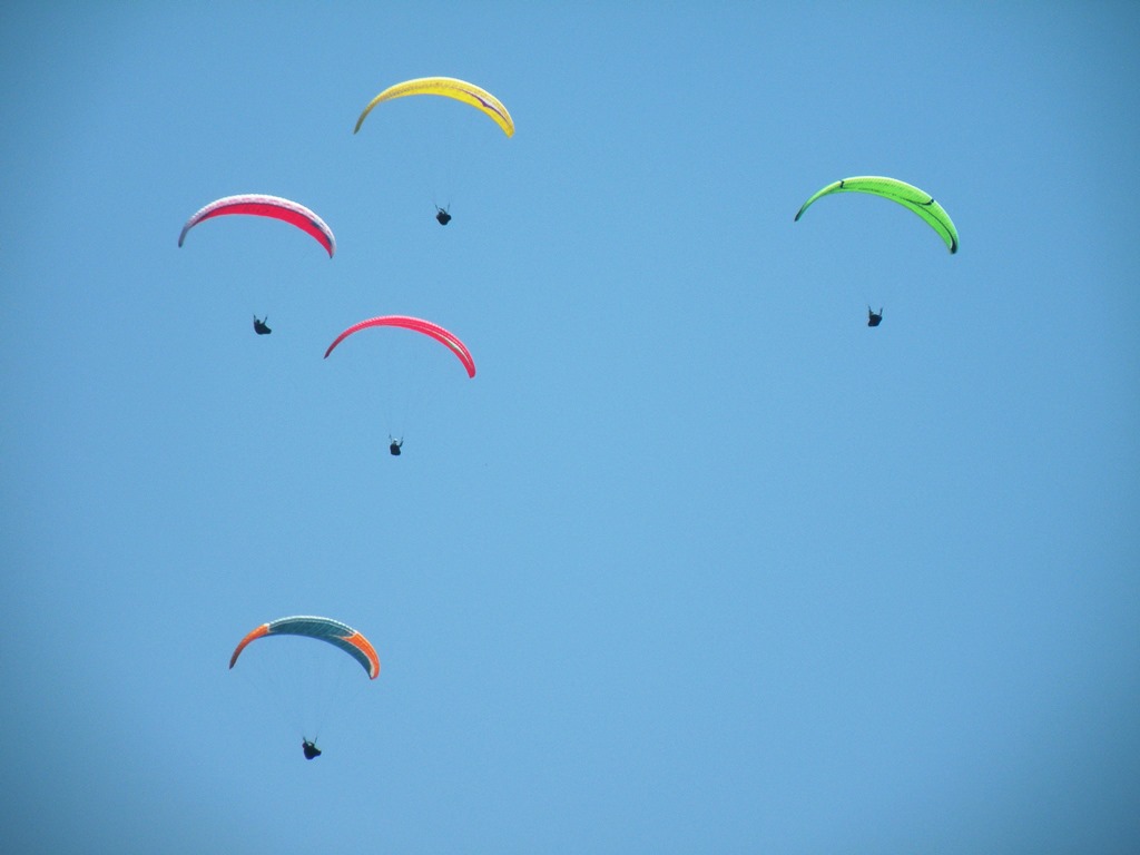 b0334633_2032167.jpg
