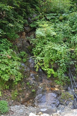 d0252835_15184943.jpg