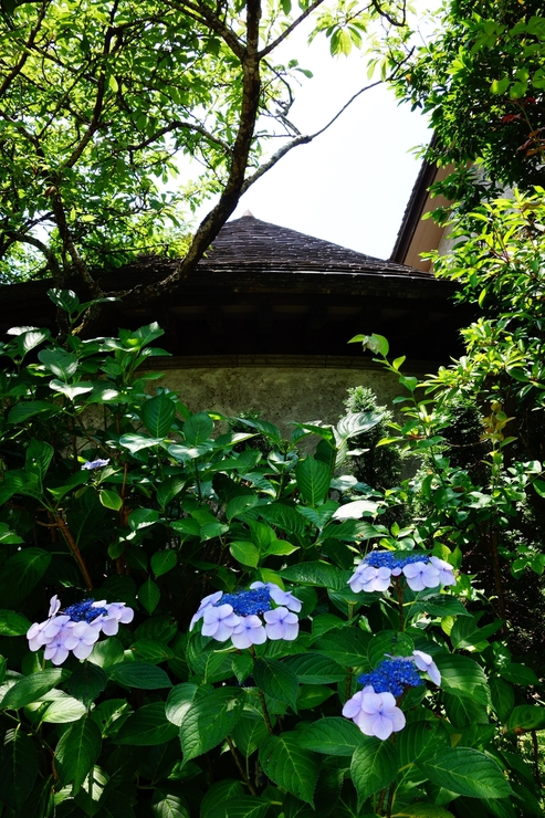 a0287336_2231580.jpg