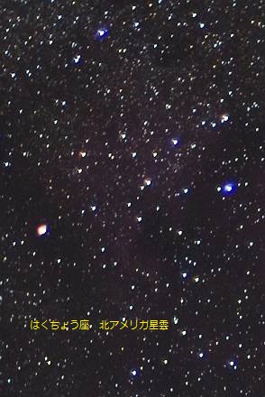 c0075539_224261.jpg