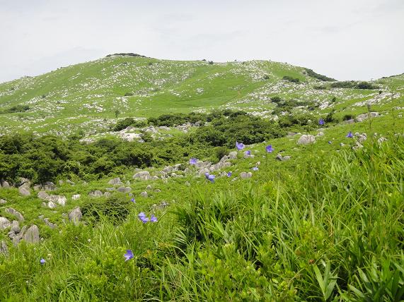 e0164643_2117316.jpg