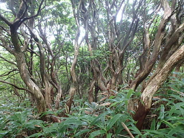 f0334143_22575698.jpg