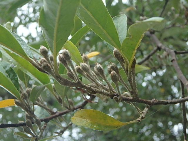 f0334143_22581024.jpg