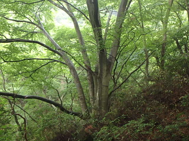 f0334143_22583840.jpg
