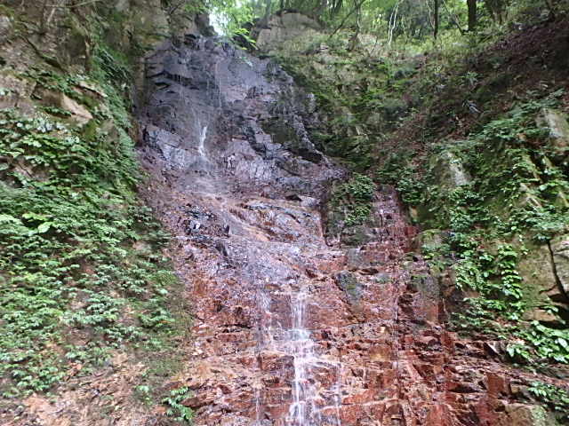 f0334143_2311056.jpg