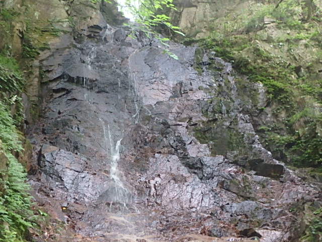 f0334143_2313151.jpg