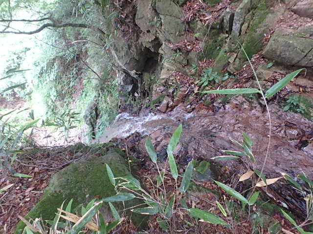 f0334143_2321127.jpg