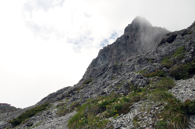 f0214649_226302.jpg
