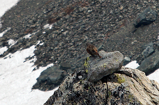 f0214649_227131.jpg