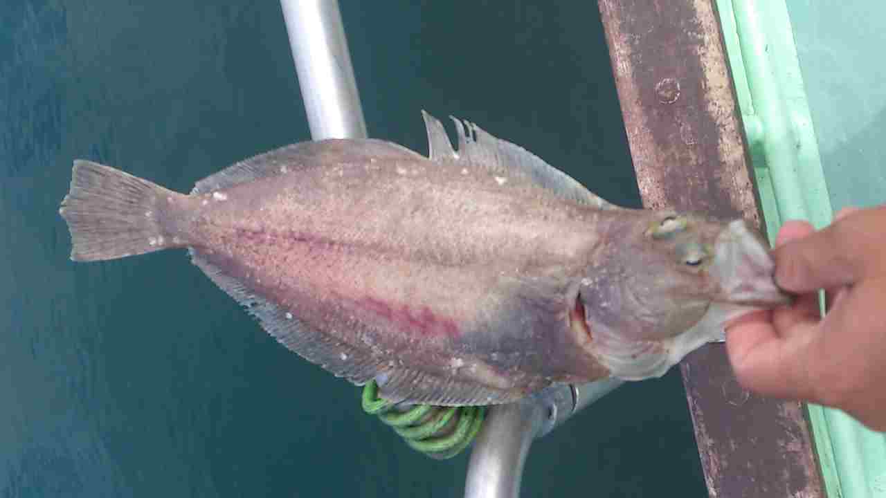 a0248152_18281963.jpg
