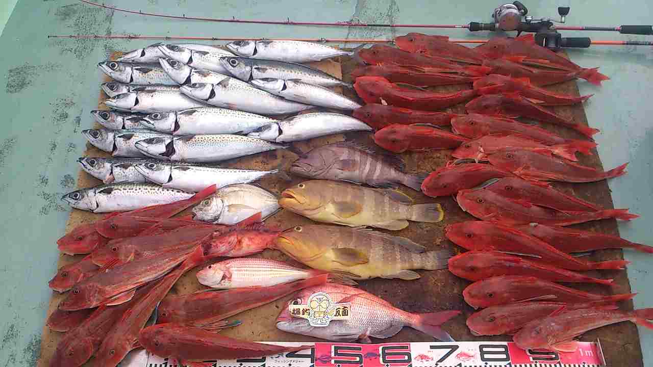 a0248152_182887.jpg