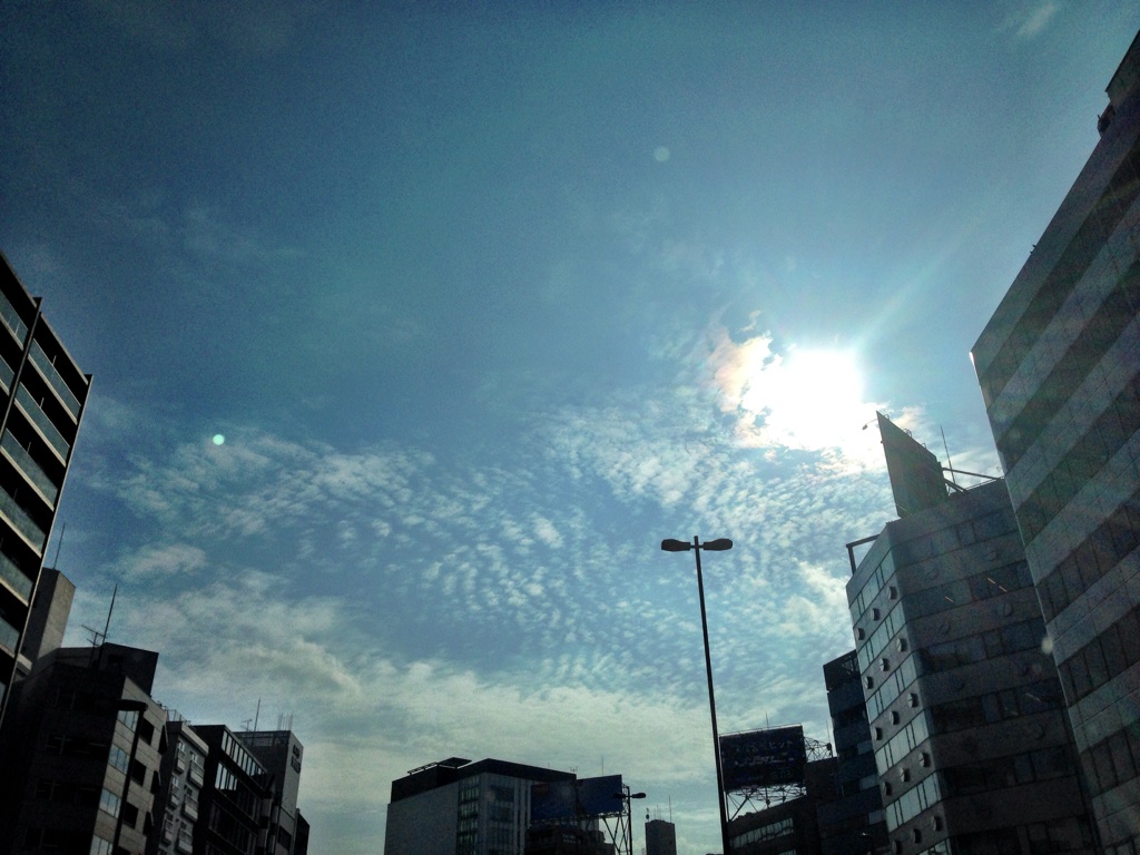 b0181457_815811.jpg