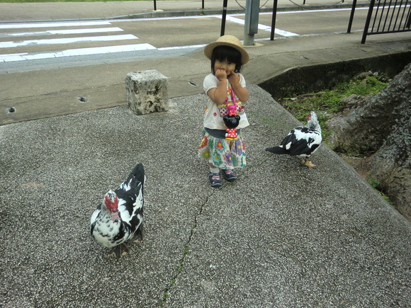 f0080168_2371390.jpg