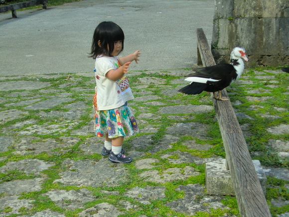 f0080168_238678.jpg