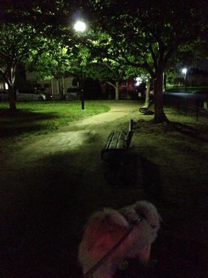 c0238971_23382685.jpg