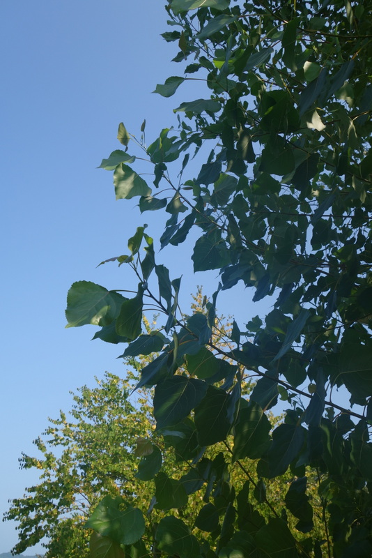 c0216472_234439.jpg