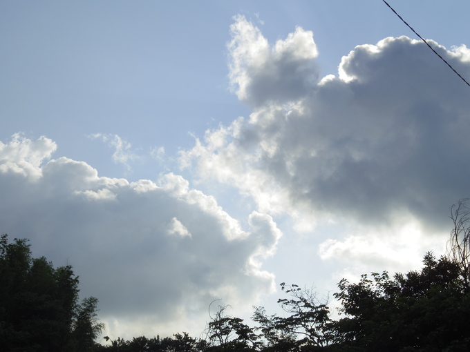 a0152078_10383618.jpg