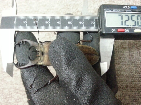 f0183484_1627757.jpg