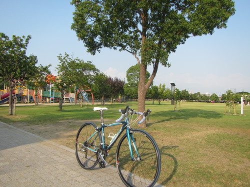a0251786_15445067.jpg