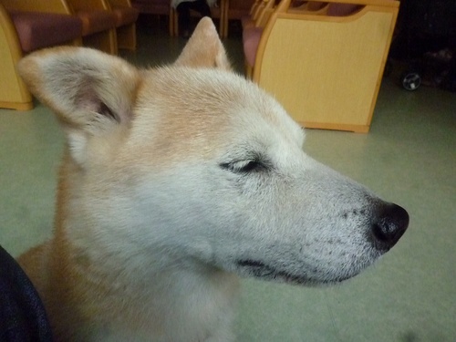 c0123890_22312060.jpg
