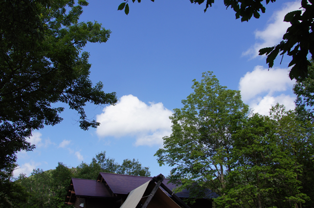 c0139591_16152030.jpg