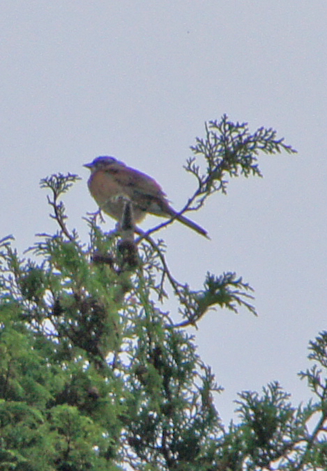 c0139591_1622054.jpg