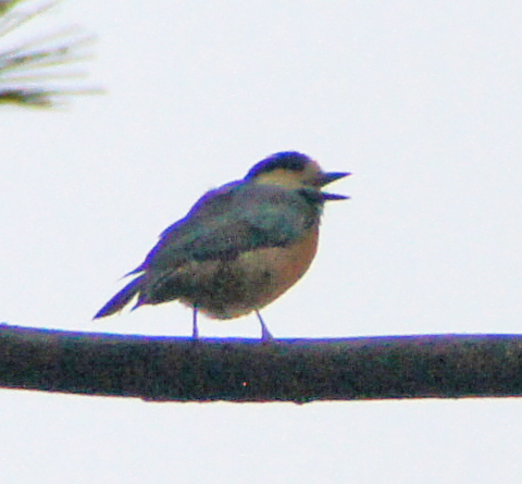 c0139591_16223561.jpg