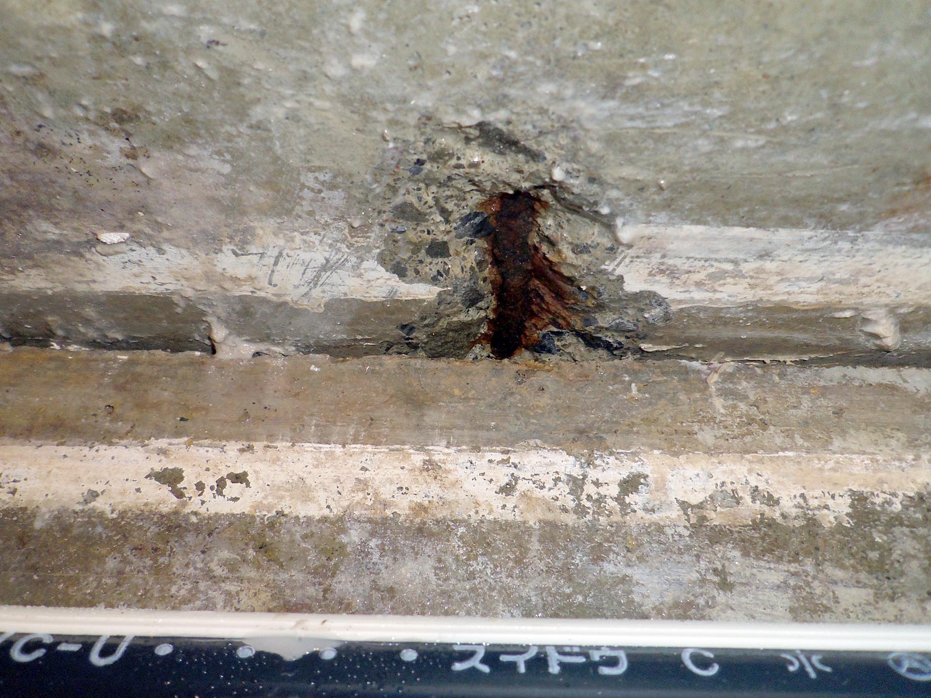 c0004193_21322572.jpg