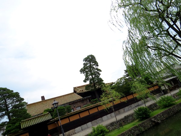 b0192199_13155649.jpg