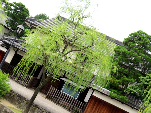 b0192199_13232764.jpg