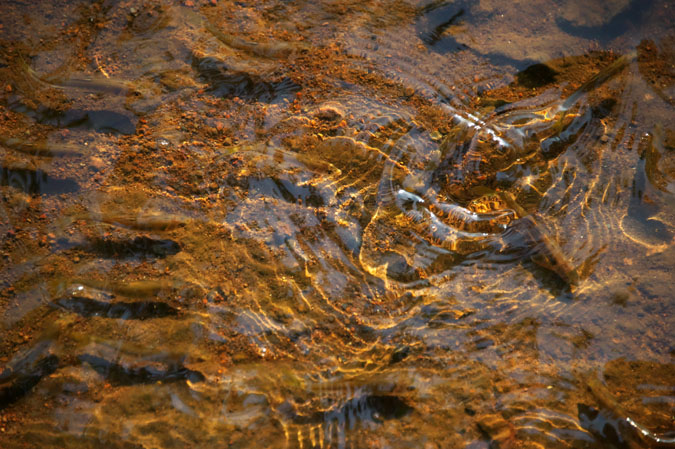 a0263109_11474731.jpg