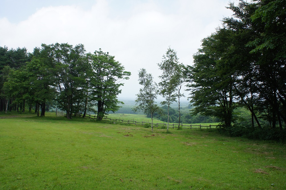 b0112909_16504893.jpg