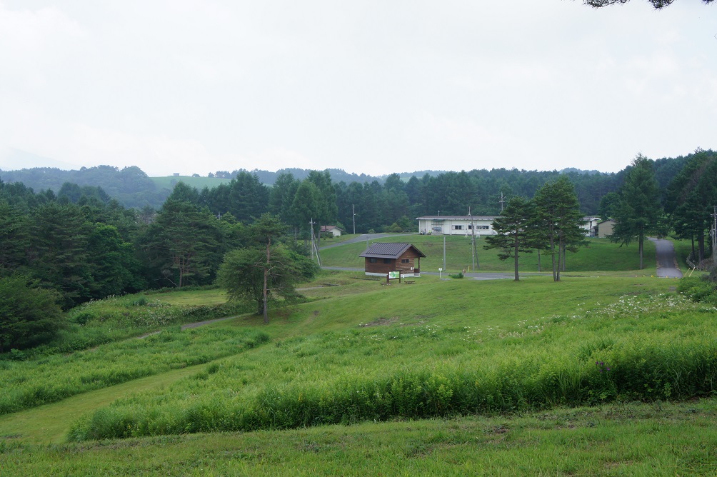 b0112909_16591110.jpg