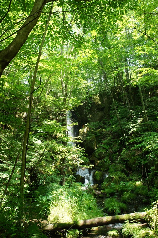 b0112909_17284311.jpg