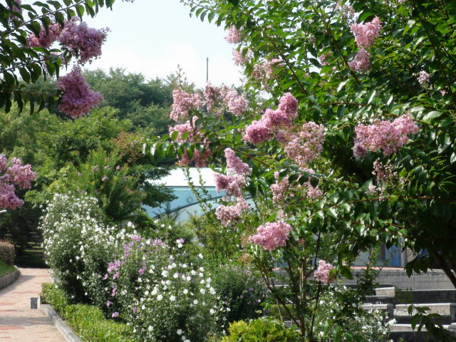 f0231709_15141316.jpg