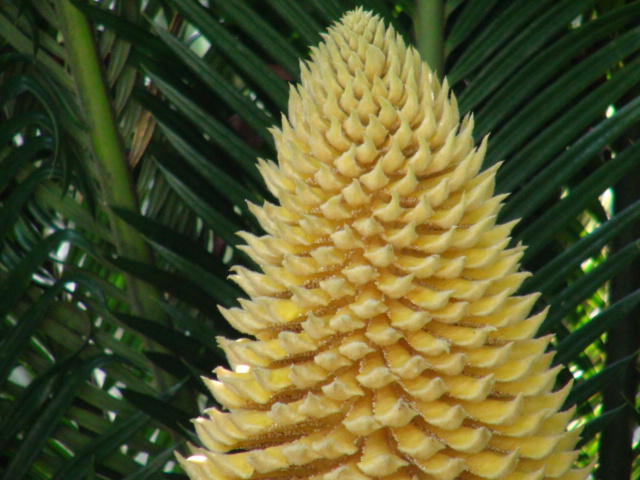 f0231709_15401433.jpg