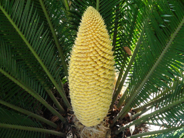 f0231709_15403745.jpg