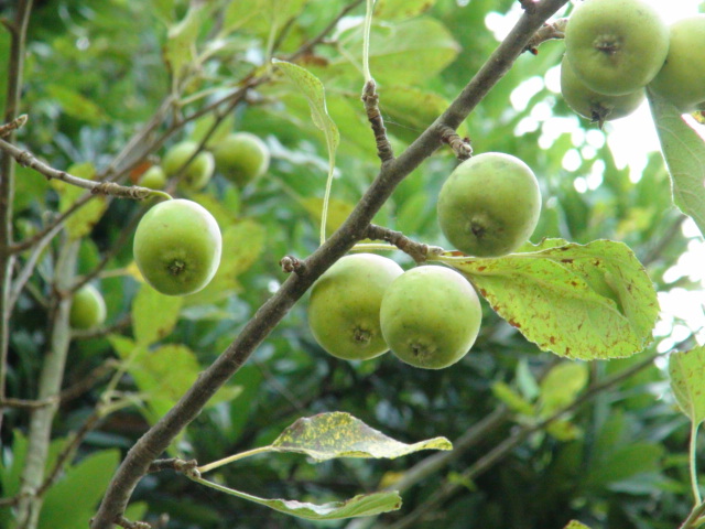 f0231709_15501069.jpg