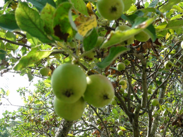 f0231709_15515956.jpg