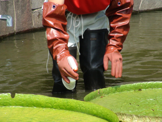 f0231709_1562322.jpg