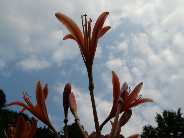f0231709_1591051.jpg