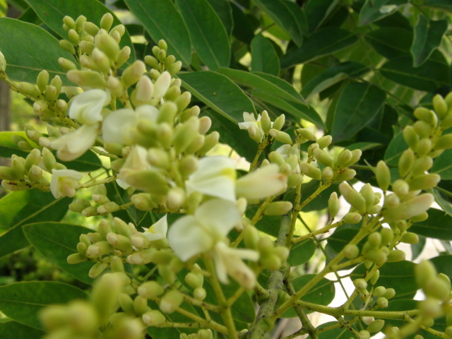 f0231709_16391250.jpg