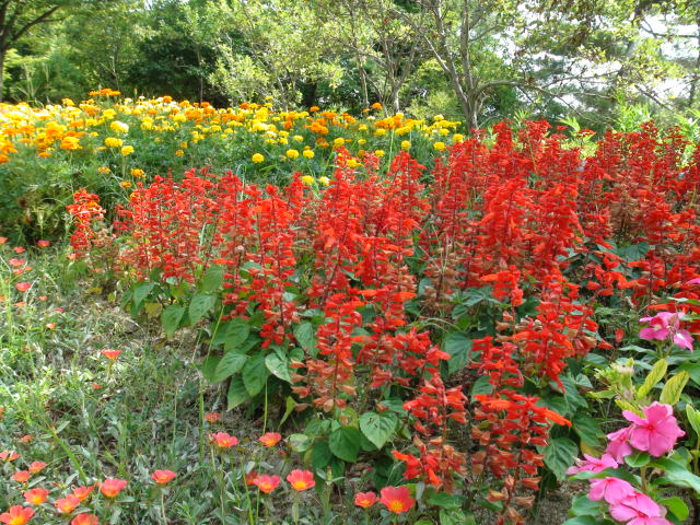 f0231709_16403934.jpg