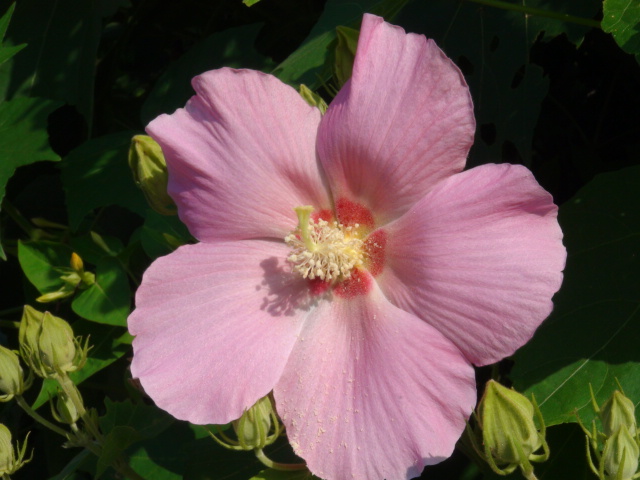 f0231709_226045.jpg