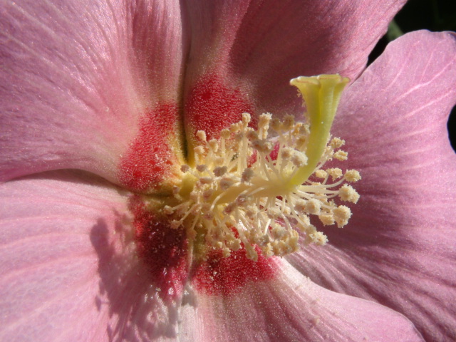 f0231709_2264320.jpg