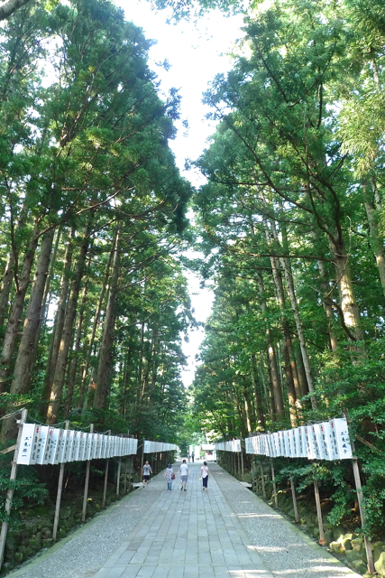 e0157816_6252770.jpg