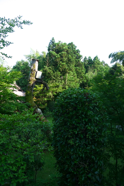 e0157816_66583.jpg