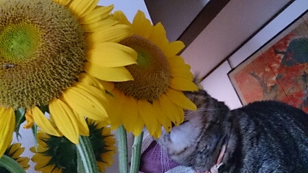 f0220919_1272231.jpg