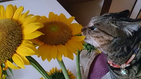 f0220919_1272567.jpg