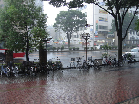 d0250123_2262062.jpg